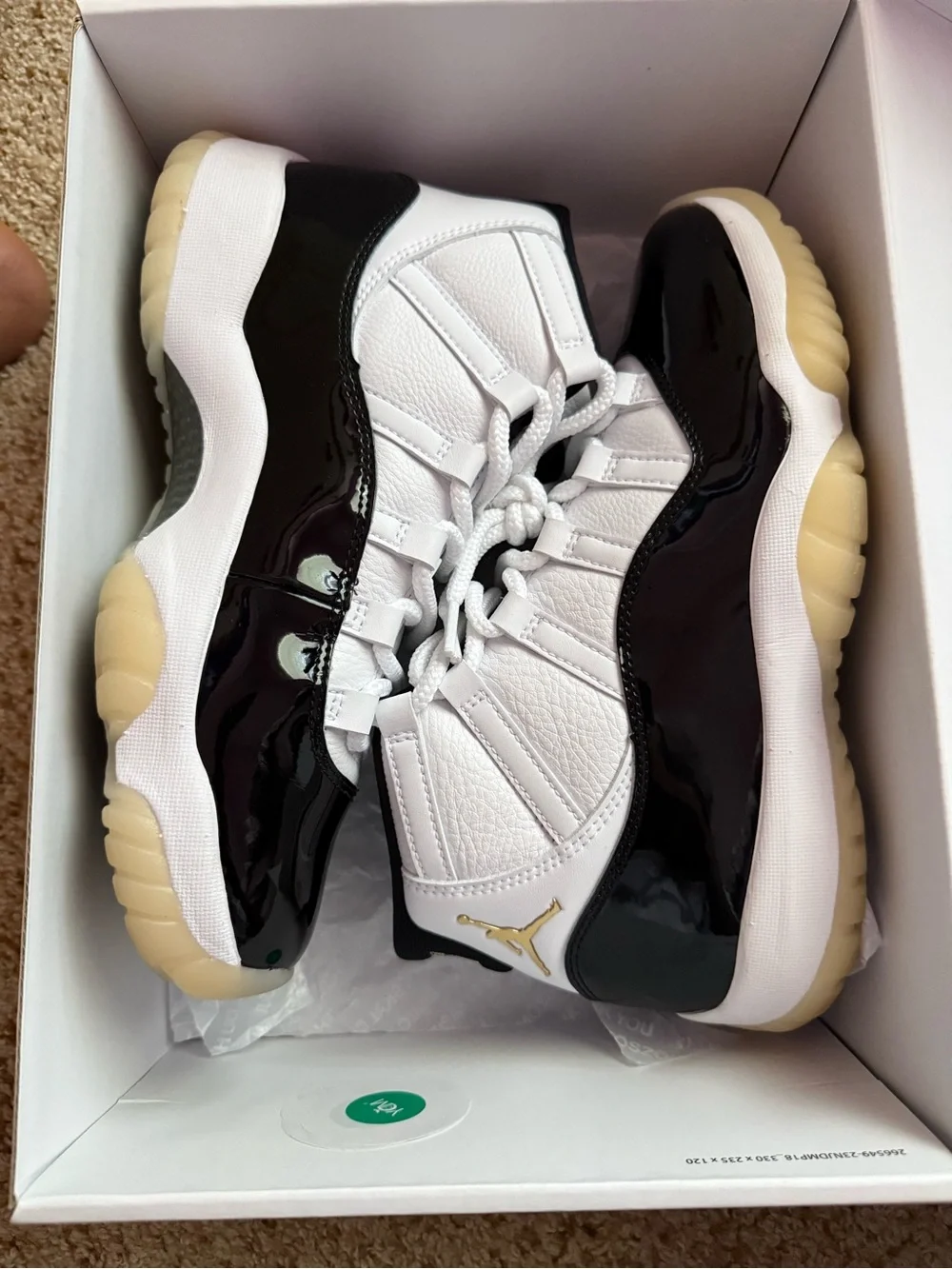 Jordan 11s worn